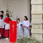 Parrocchia Sant'Alessandro della Croce - 13 Aprile 2025 - Domenica delle Palme