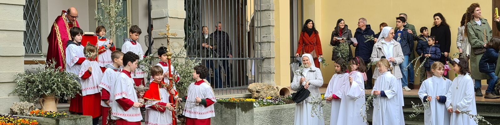 BENEDIZIONE ULIVI